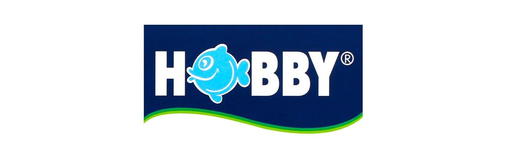 Hobby – Élevage et Nourriture d’Artémias