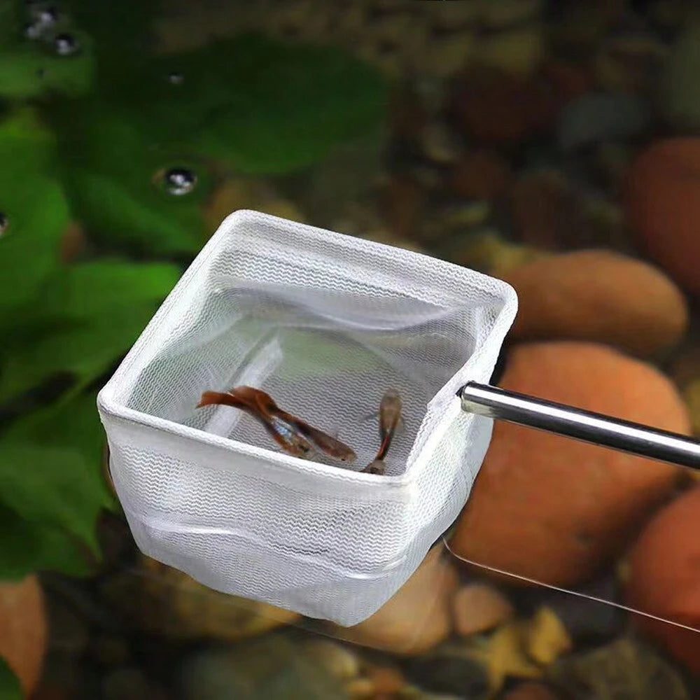 Epuisette à Crevettes manche Extensible
