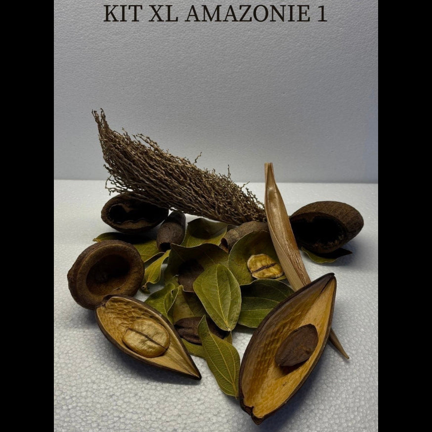Kit XL Amazonie 1