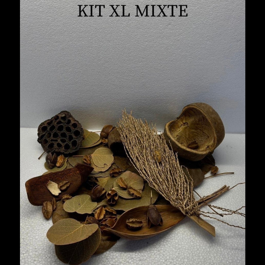 Kit XL Mixte