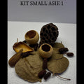 Kit small Asie 1