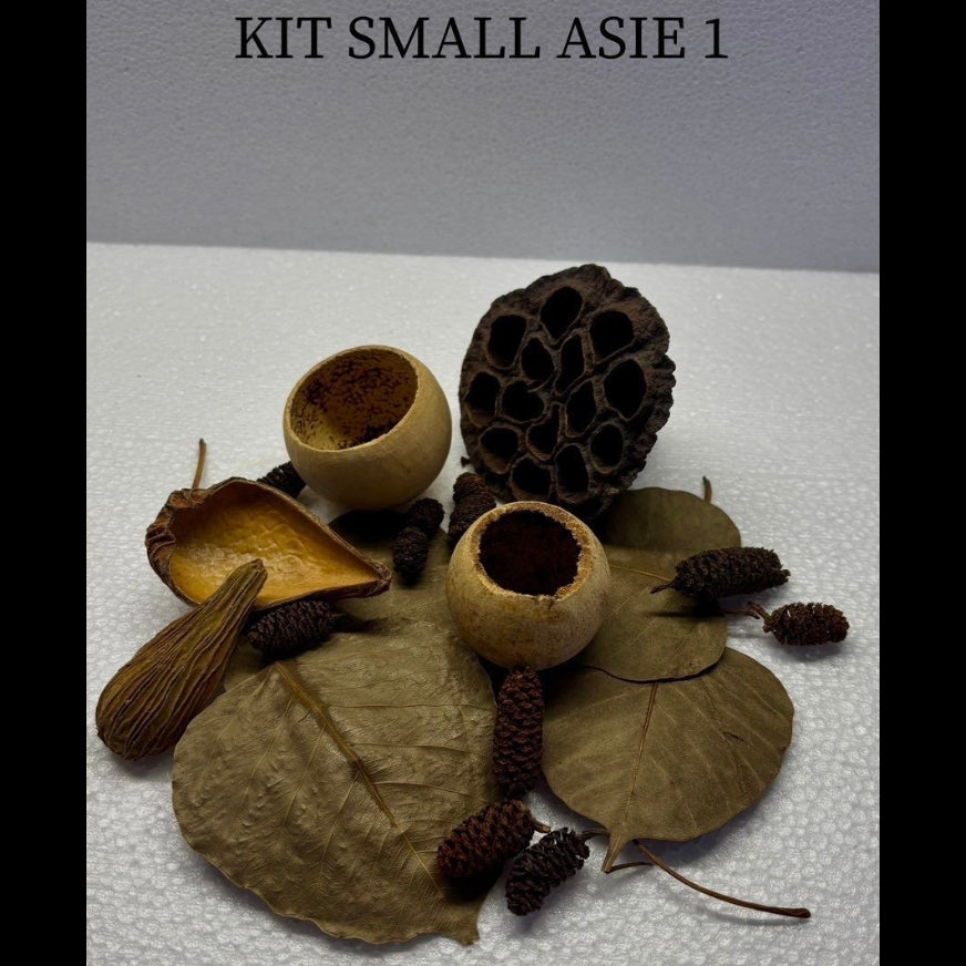 Kit small Asie 1