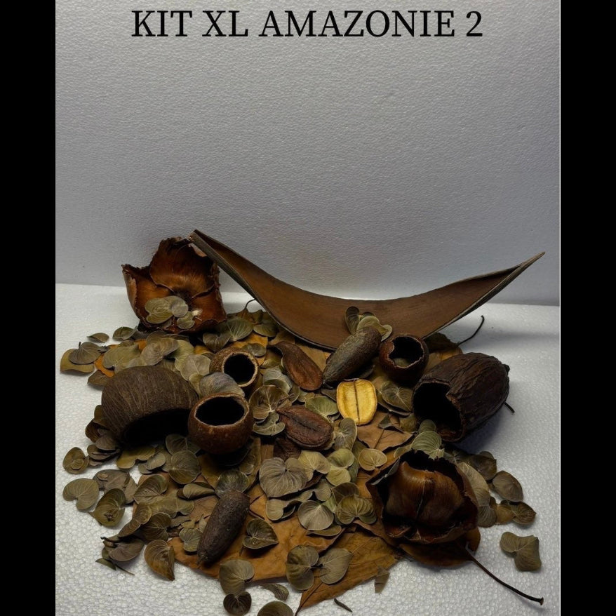 Kit XL Amazonie 2