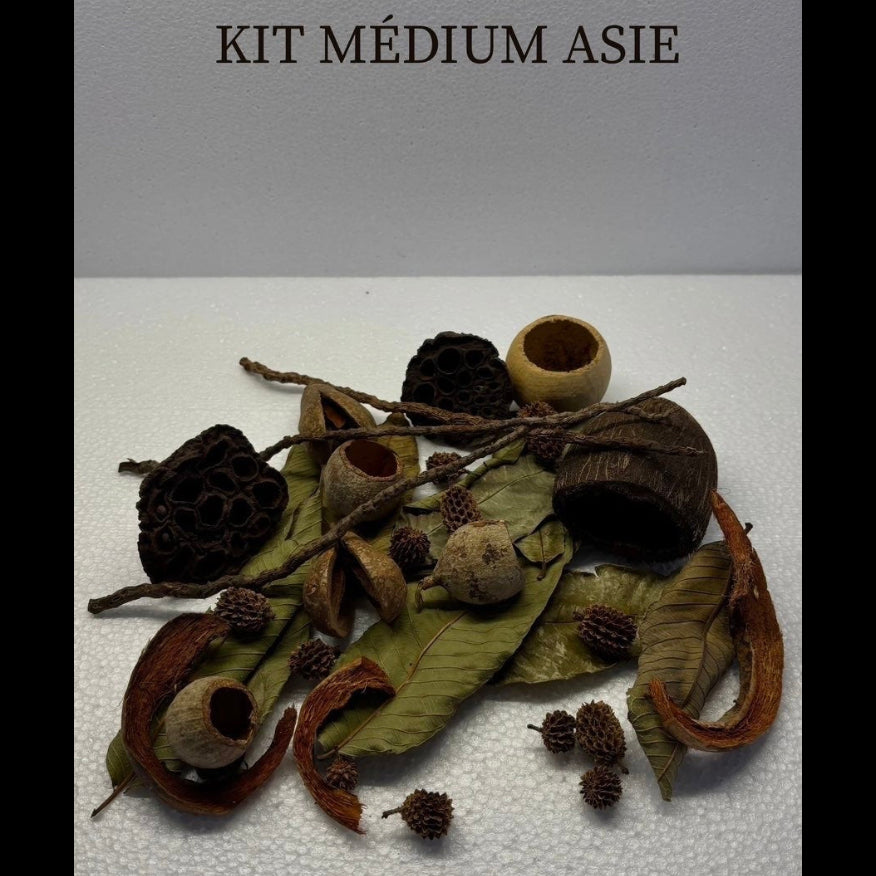 Kit Médium Asie