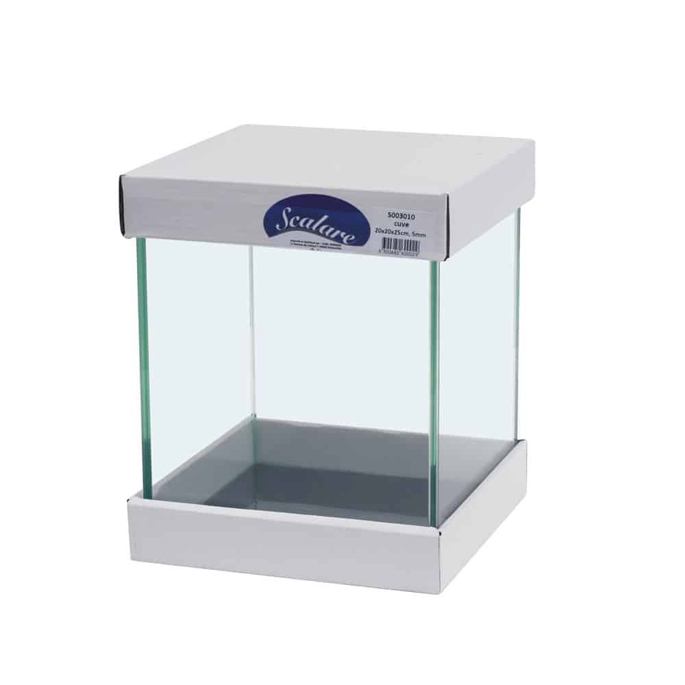 Aquarium Scalare 10L – Cuve en Verre Traité (20 × 20 × 25 cm)