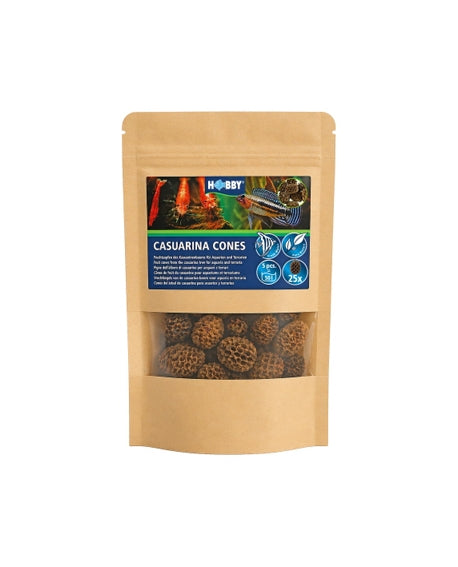 HOBBY Casuarina Cones – 25 pièces