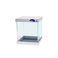 Cuve Aquarium Ultra Clear 64L – Bords Incurvés Scalare (40 × 40 × 40 cm)