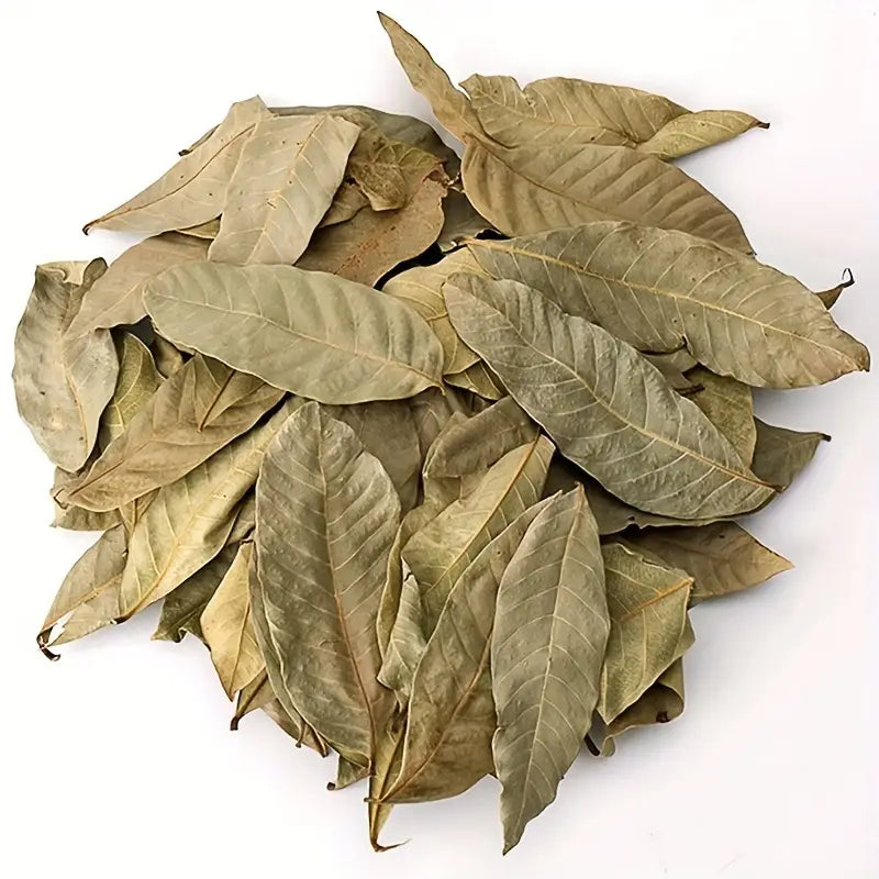 Feuilles d’Olivier Naturelles – Lot de 10