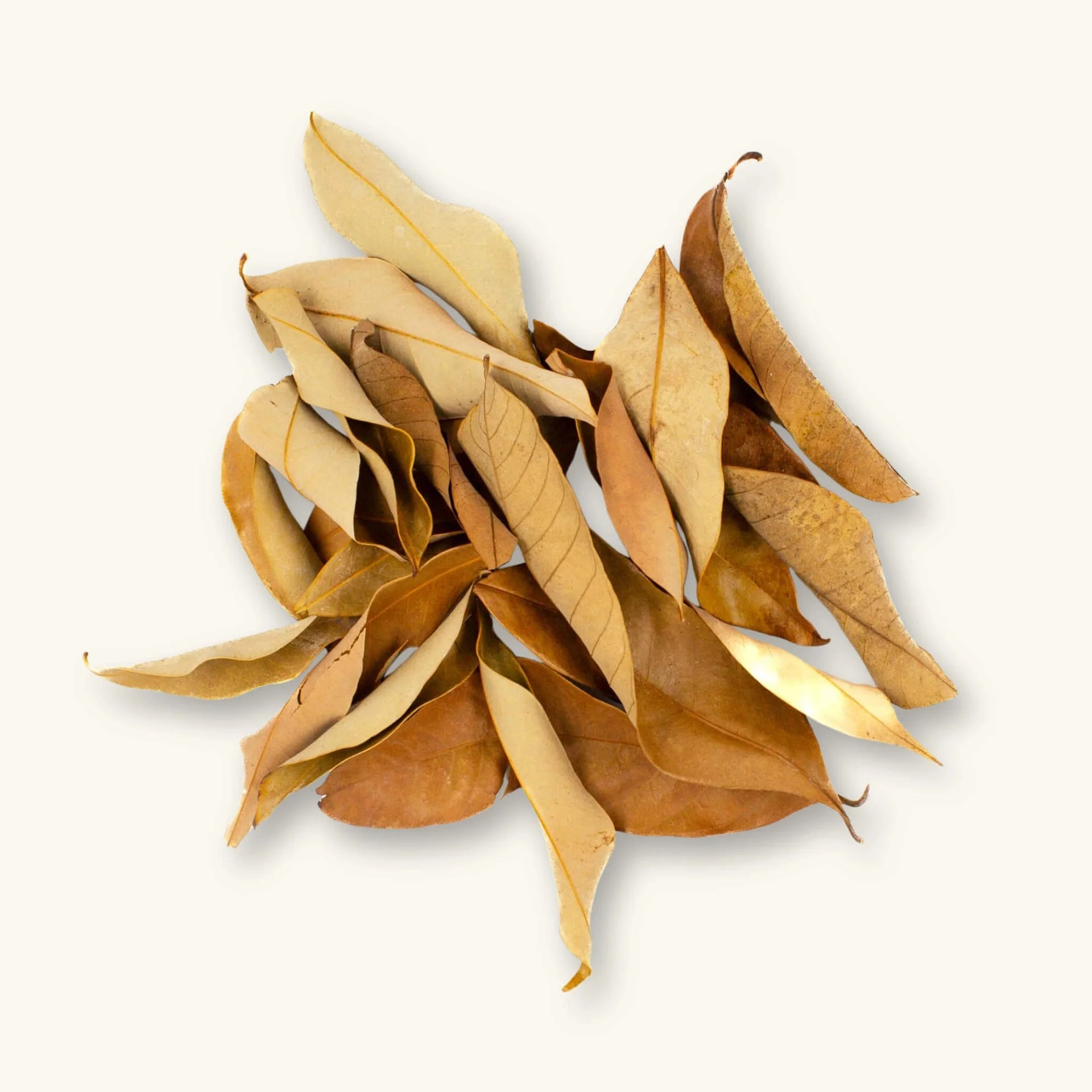 Feuilles de Longane Naturelles – Lot de 10
