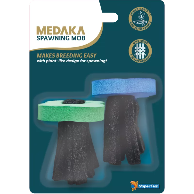 MEDAKA BROSSES DE PONTE