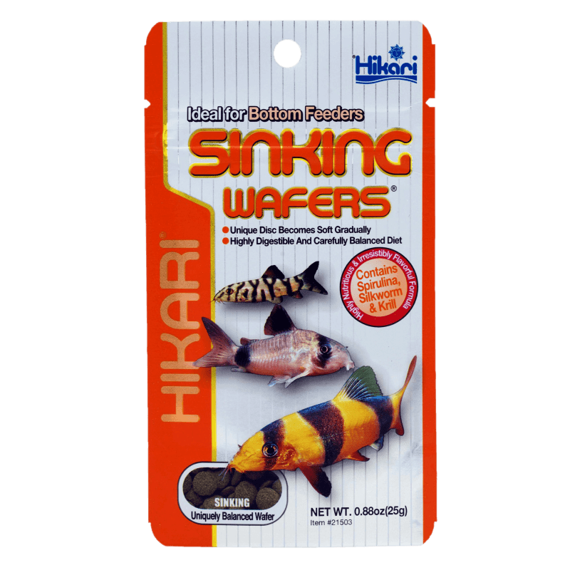 Hikari Sinking Wafers 50 g – Nourriture pour poissons de fond