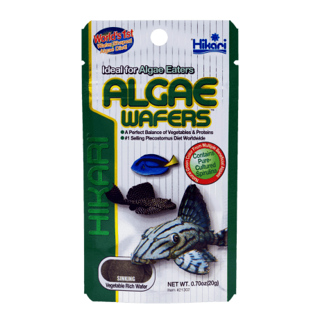 HIKARI ALGAE WAFERS 40 GR