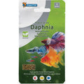 Superfish Daphnies Liophilisées 5gr